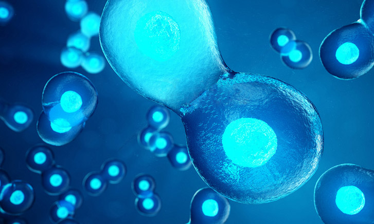 温州维谱斯特生物科技有限公司