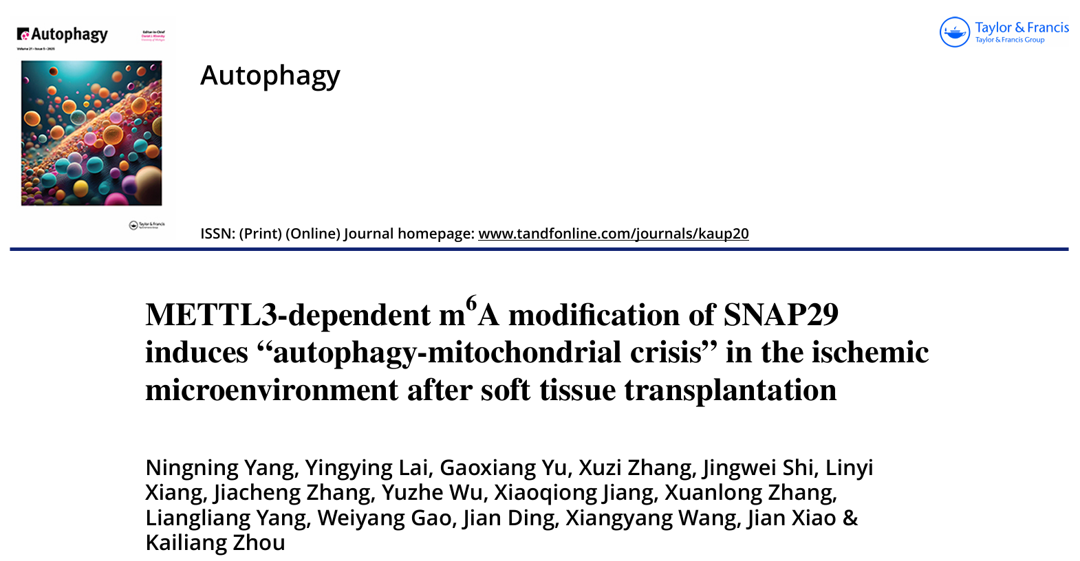肖健Aytophagy1.png