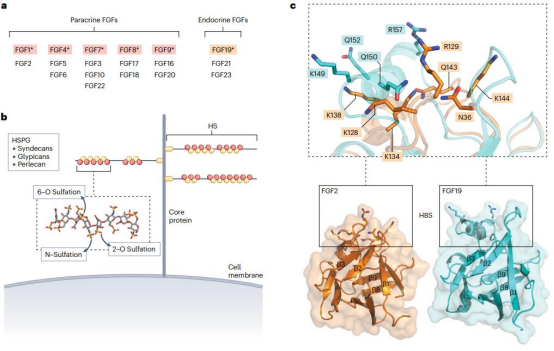 1758768624211045983.png image.png