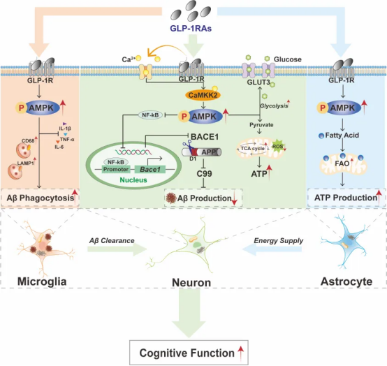 1758769138157070296.png image.png