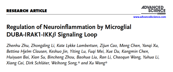 1758769419853036551.png image.png