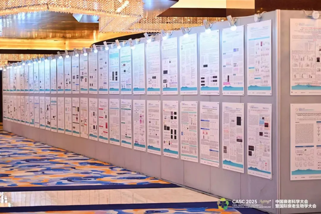 1758876906490010714.png image.png