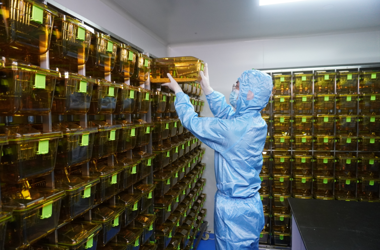 转化医学研究基地(实验动物中心)