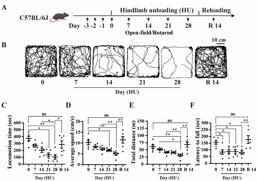 1759212747458070388.png 凌树宽3.png