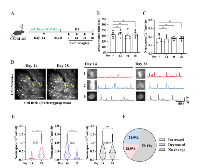 1759212832106017888.png 凌树宽4.png