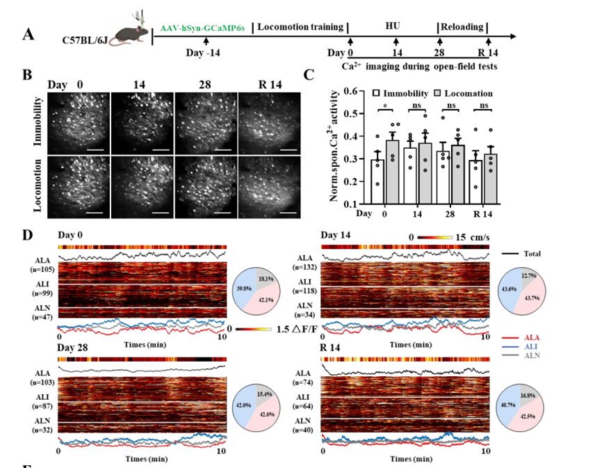 1759213004874061303.png 凌树宽5.png