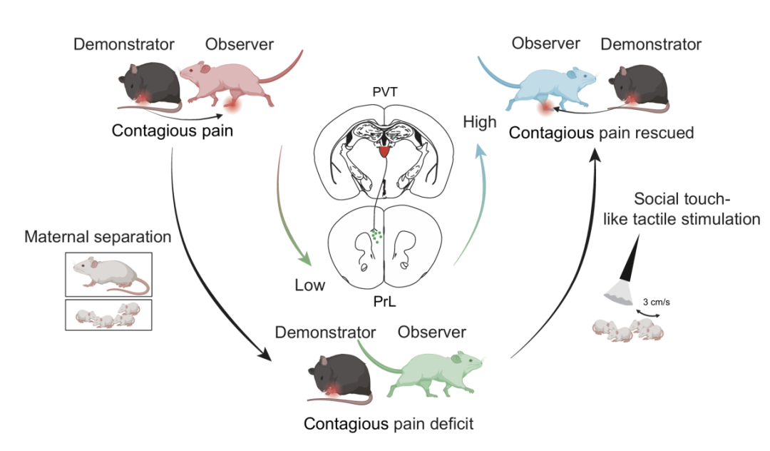 1760339683865016035.png 刘明刚2.png