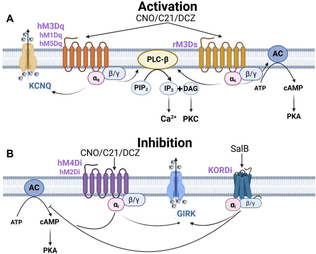 1763373383694030027.jpg 333.jpg