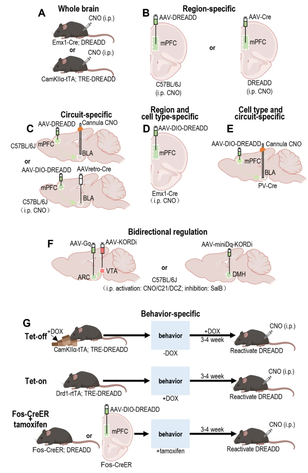 1763373415965039176.jpg 555.jpg