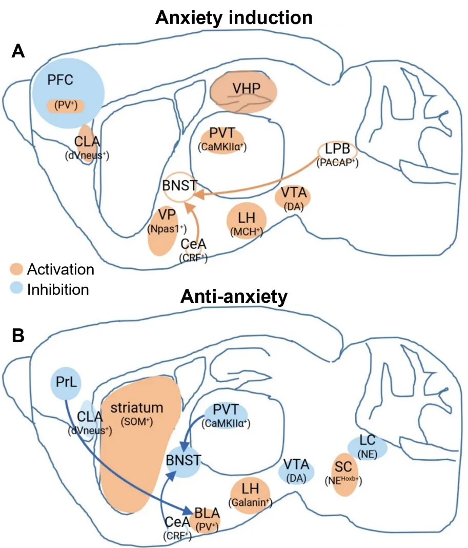 1763373426182084112.jpg 666.jpg