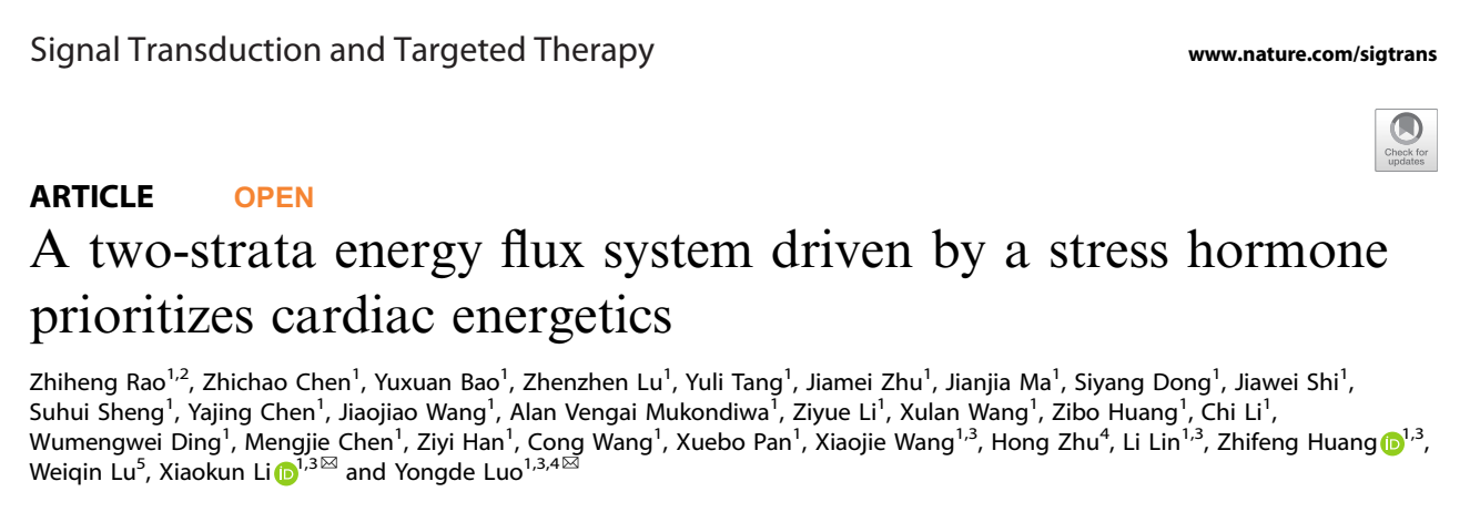 李校堃 Signal1.png